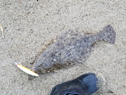 釣り部